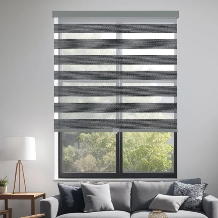 Blinds Zebra 8