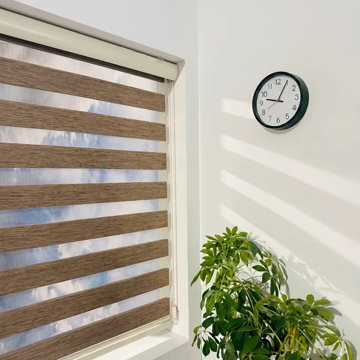 Blinds Zebra 9